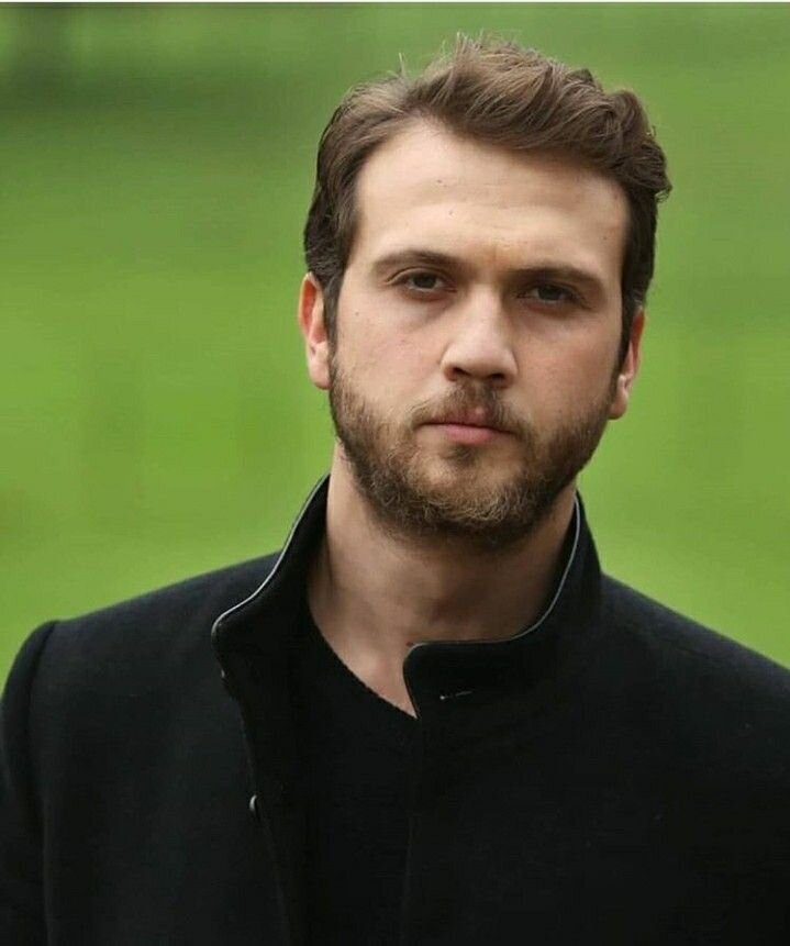 Яндекс.Картинки