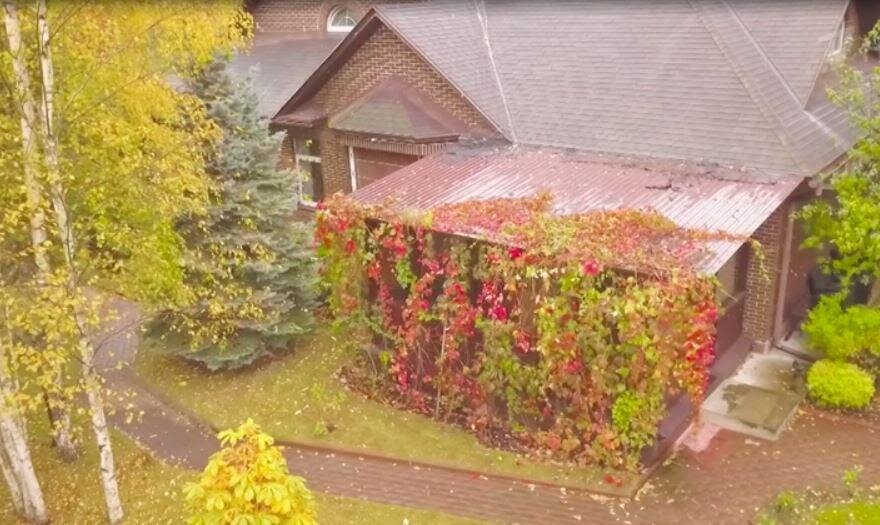 Фото: кадр из видео