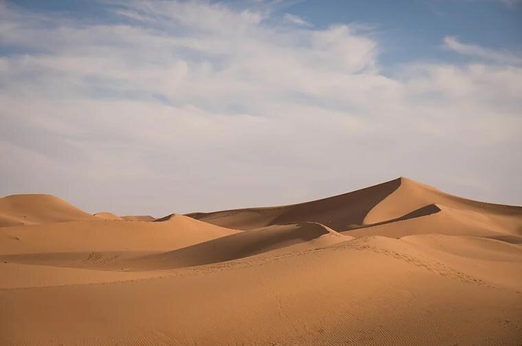 Сахара является крупнейшей из числа песчаных пустынь, по занимаемой площади она превосходит всю Бразилию
