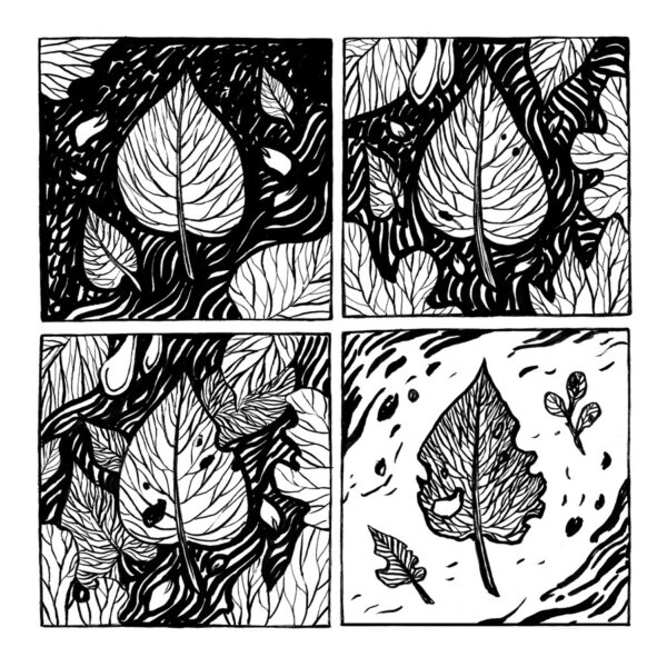 И это тоже Юлия Никитина "Путешествия Чародея"