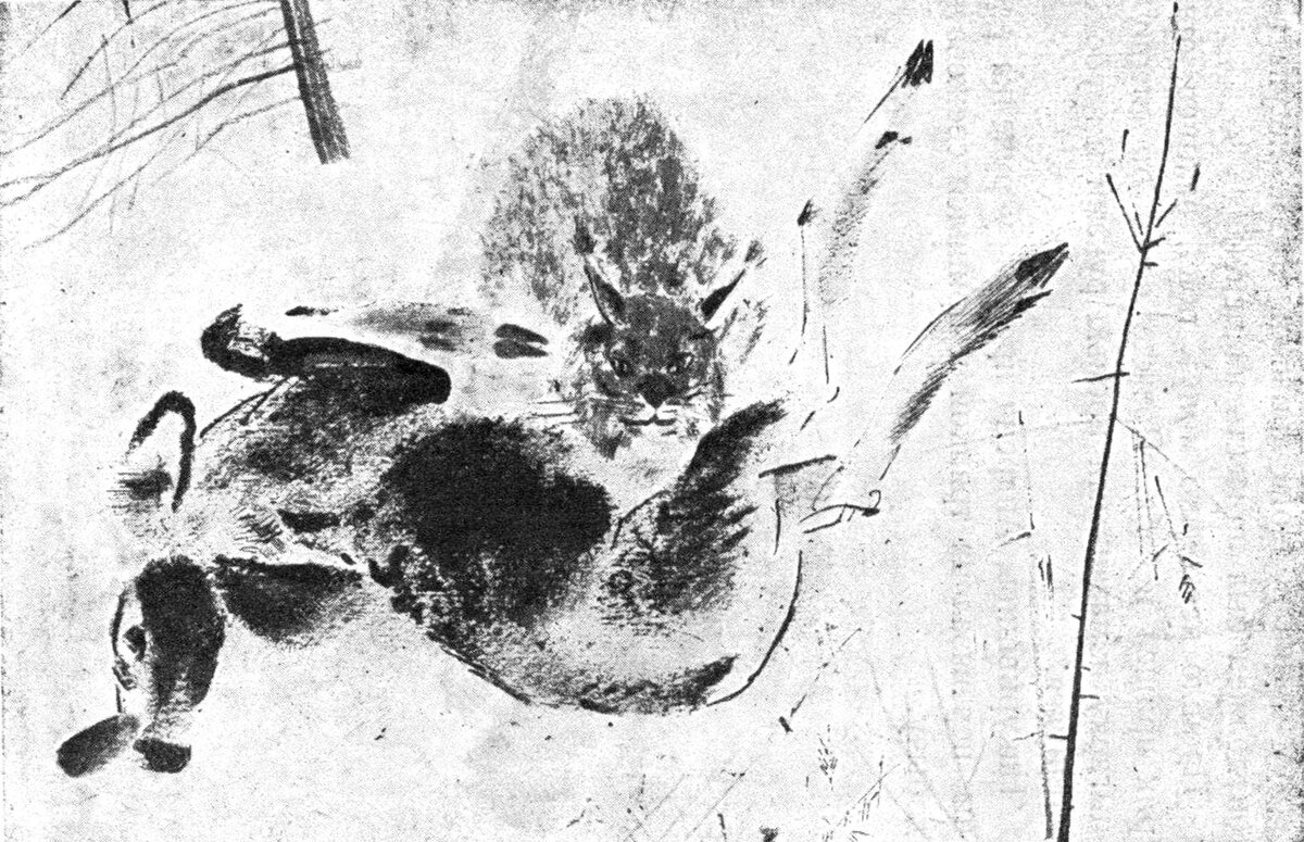 Мурзук чарушин. Чарушин евгений иванович иллюстрации. Гнездо пеночки рисунок. Художник иллюстратор. Бианки иллюстратор.