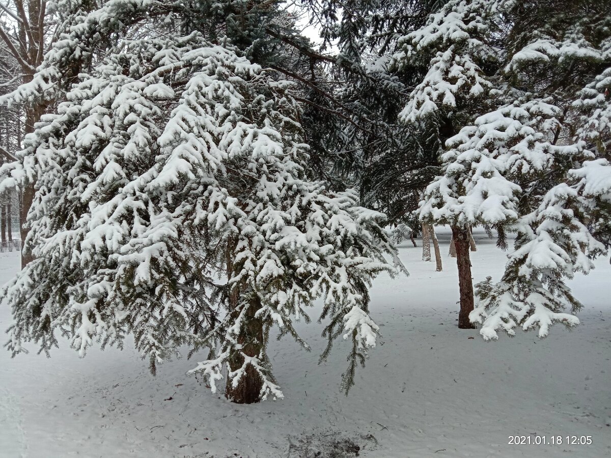Занесло вокруг, запорошило... Фото автора
