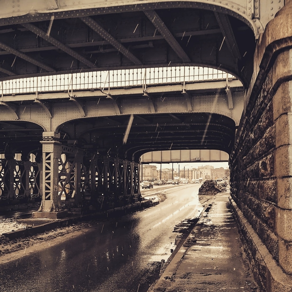  Истории рыжего кота