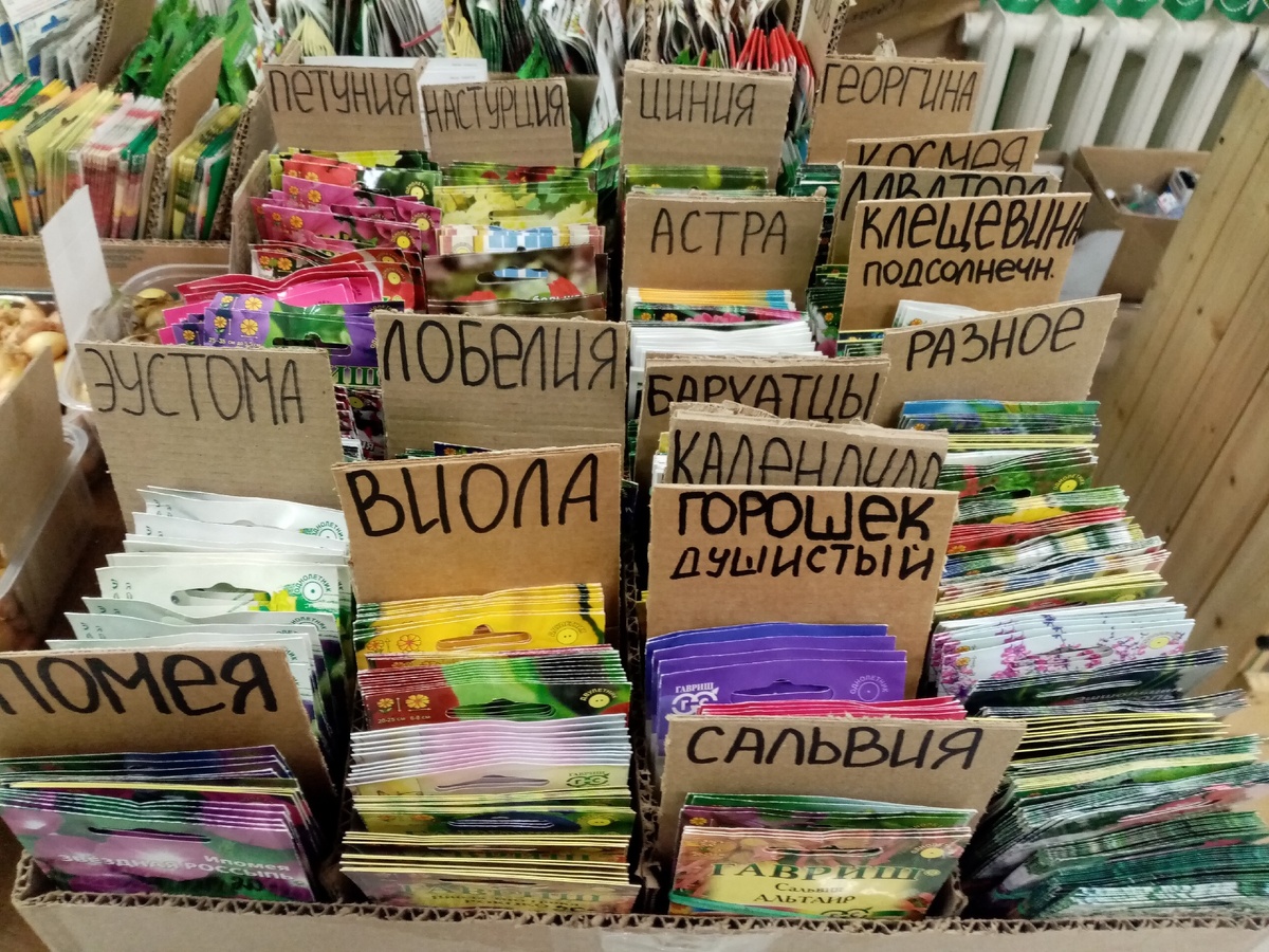 Вот что из этого получилось