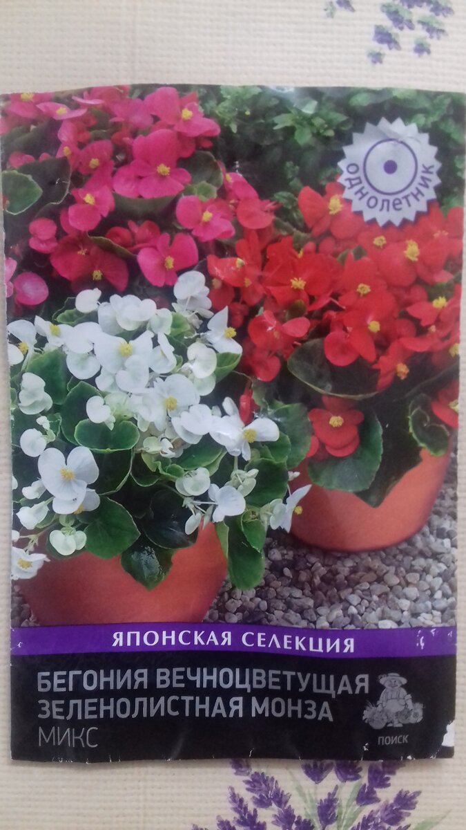 Фото из личного архива