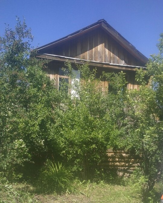 Ветхий дом и запущенный сад ( здесь мы уже активно поработали пилой и секатором) 