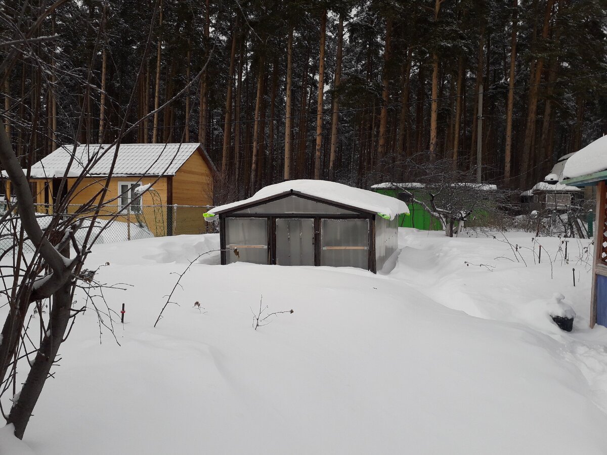 Сейчас наш садовый участок заметён снегом. Фото автора.