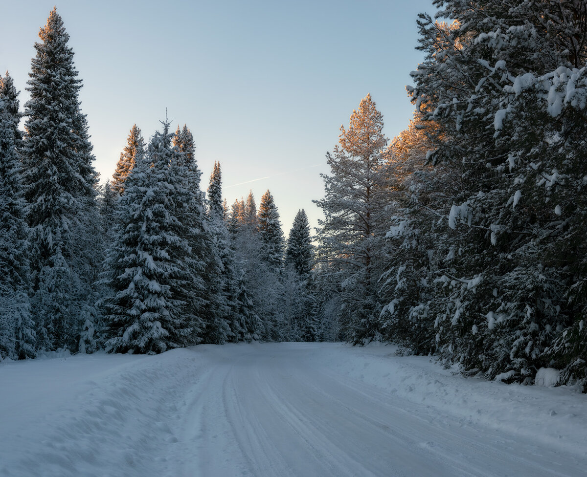 Зимняя дорога ведущая к источнику. Располагается источник на берегу реки Великой. В Никольской часовенке бьёт родник.  Автор фото Александр Архипкин 