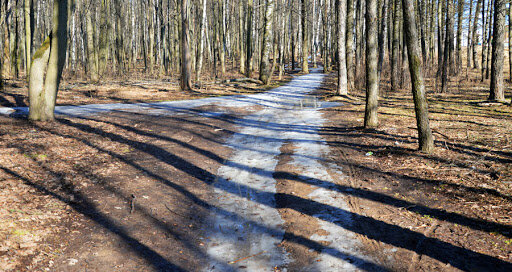 По его словам, средняя дата схода снежного покрова в Москве — 12 апреля, а самая поздняя климатическая дата — 19 апреля. В этом году сход снега произойдет в самую позднюю дату, не раньше 15-20 апреля, а в лесах может держаться чуть ли не до Первомая.
