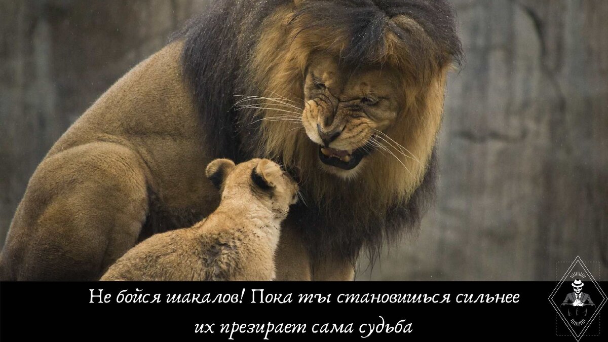Изображение из открытых источников