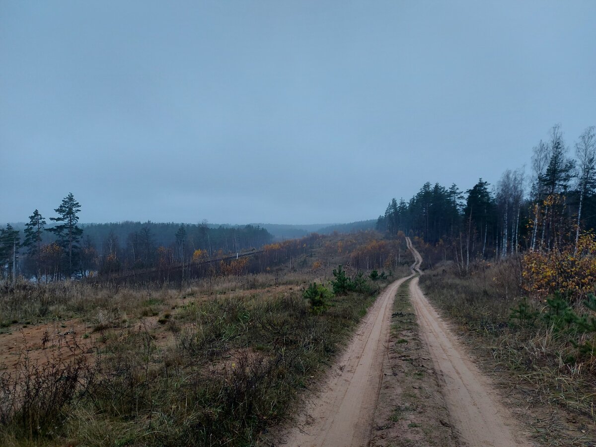 Путь в никуда. Фото автора. 