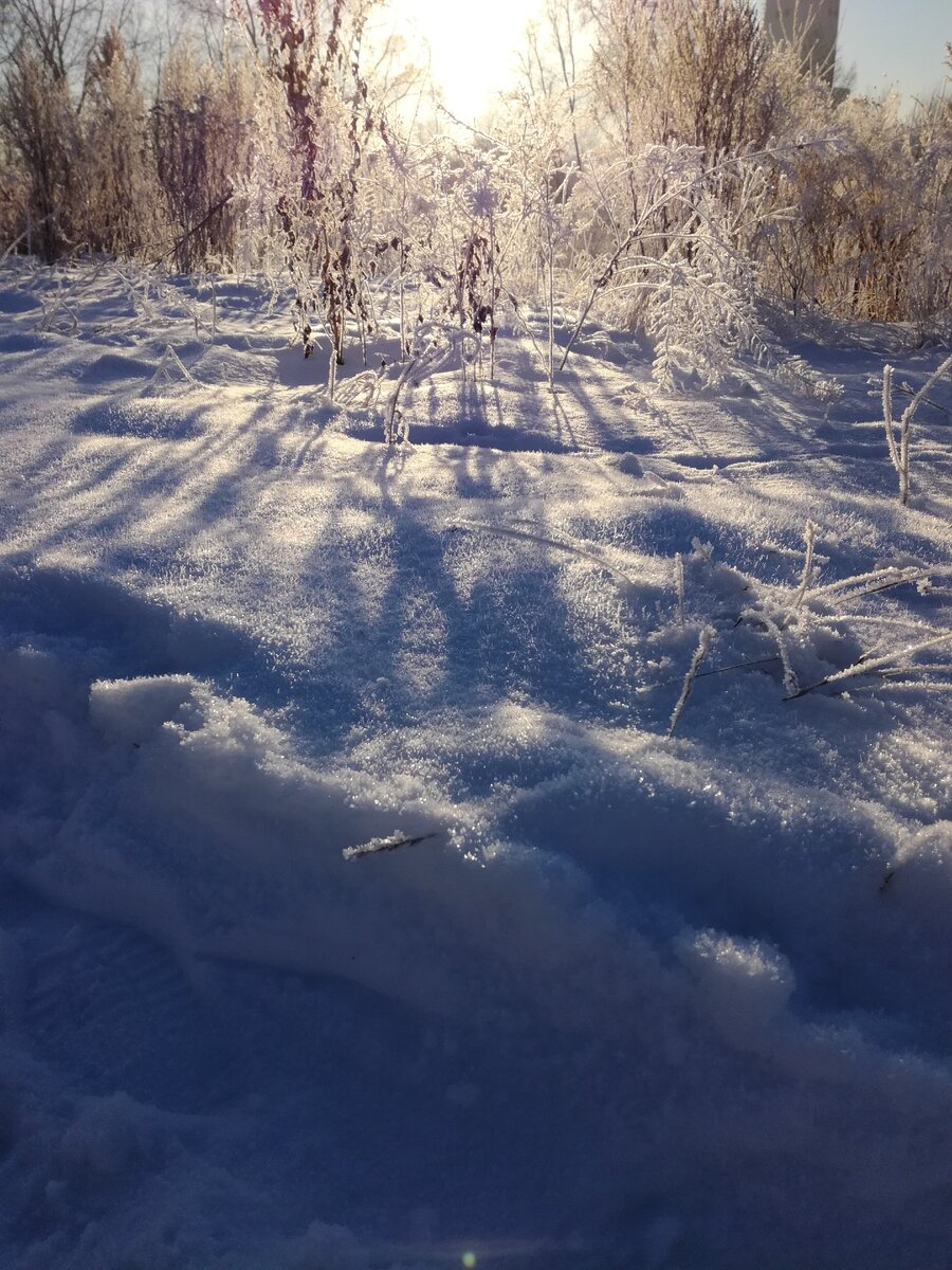 Сияющий день. Фотография из личного архива автора блога