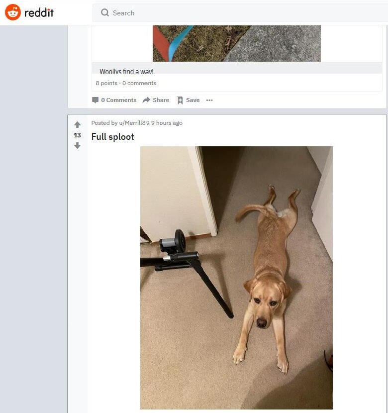 Источник : www.reddit.com Фото пользователя Merrill89