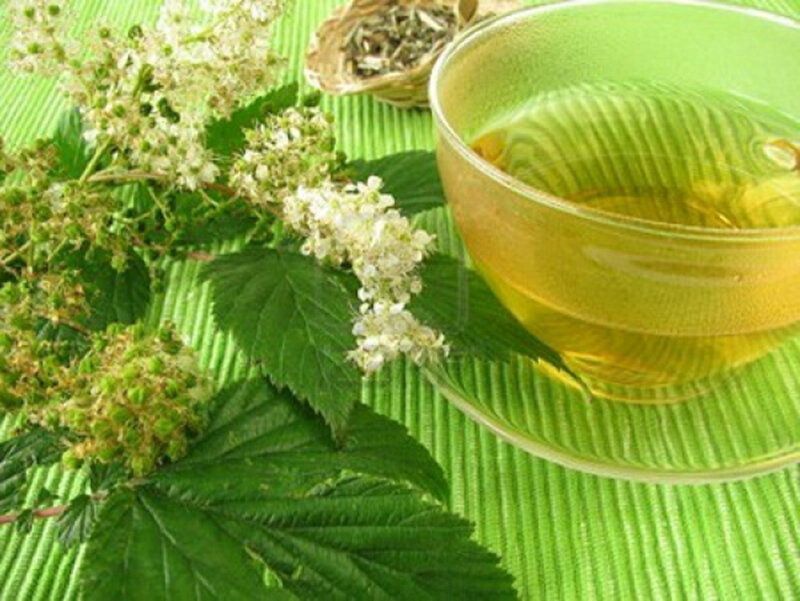 Чай с лабазником можно готовить и без черного чая, он будет тоже очень вкусным и ароматным! Источник: horoshev.ru