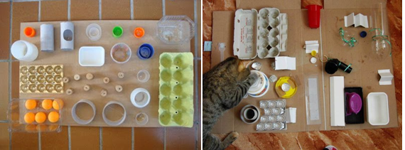 Кормушки-головоломки для кошек: зачем они нужны