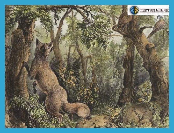 Источник: Яндекс Картинки