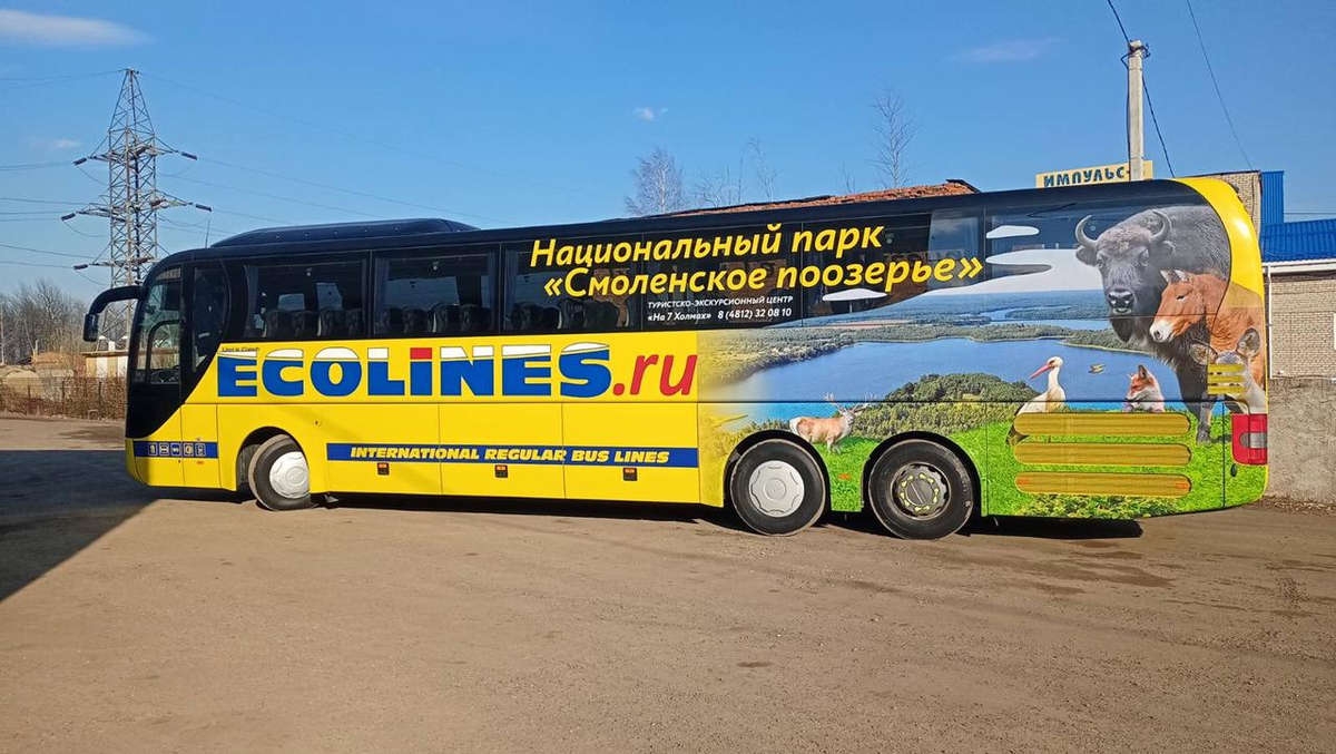 Питер смоленск автобус. Автобус Смоленск-Санкт-Петербург. Автобус Ecolines Санкт-Петербург Смоленск фото. Ecolines автобусы официальный сайт.