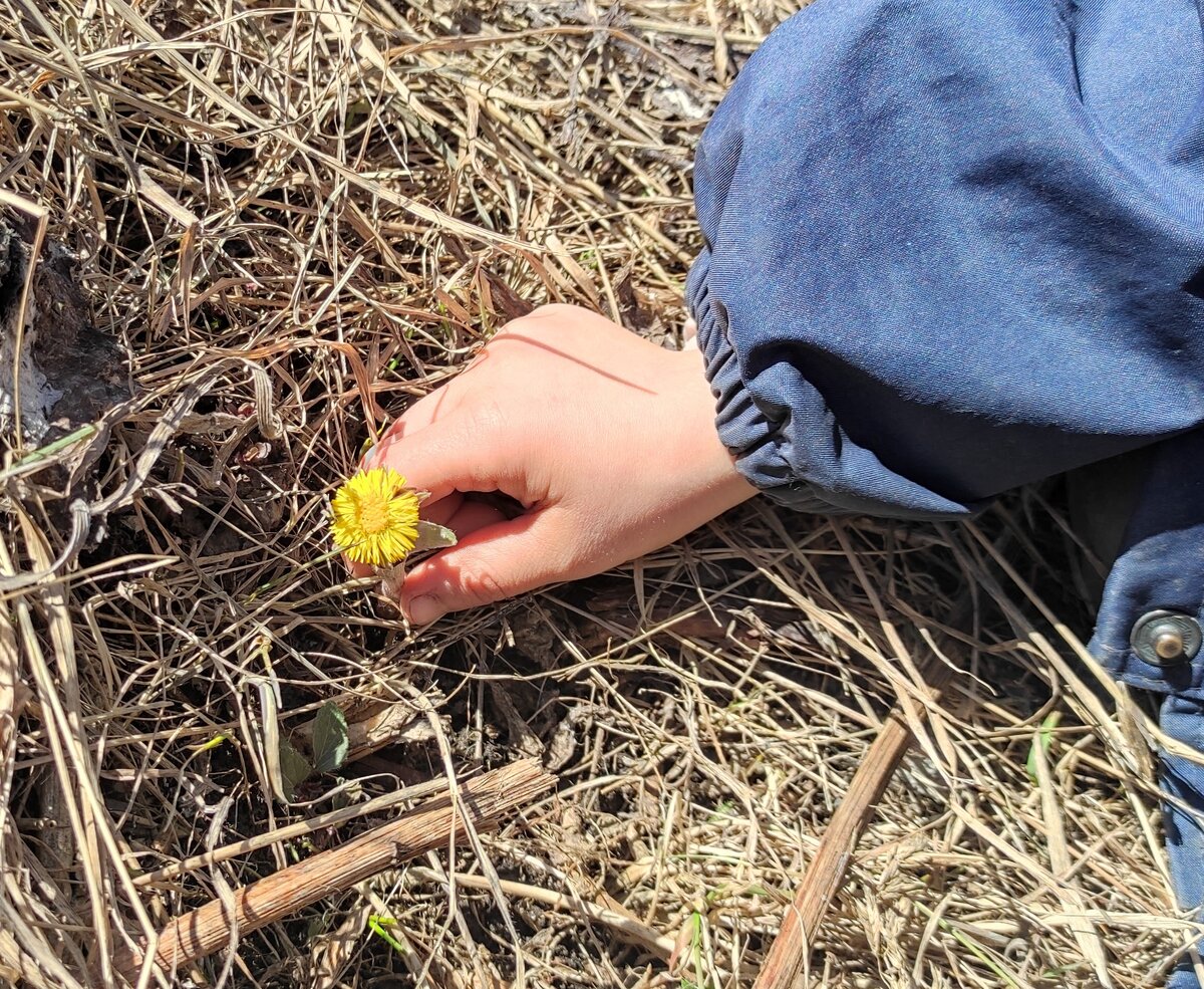 Жизнь в родовом поместье Рода Таран-Игнатьевых в Ульяновской области