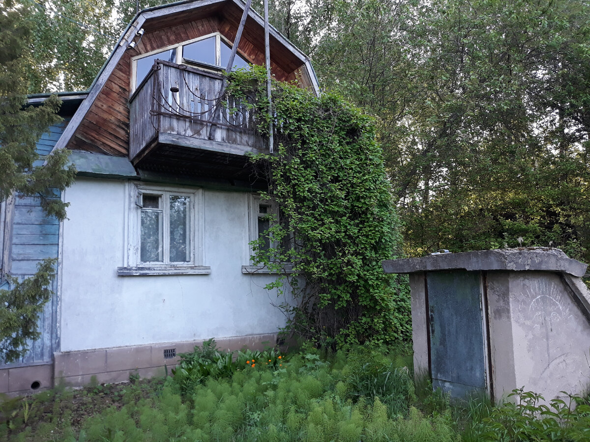Дом старый, но сделан добротно, справа - бетонный погреб