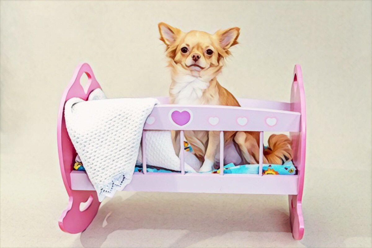 А стоит ли допускать такое кормление? Фото для привлечения внимания) — freepik.com