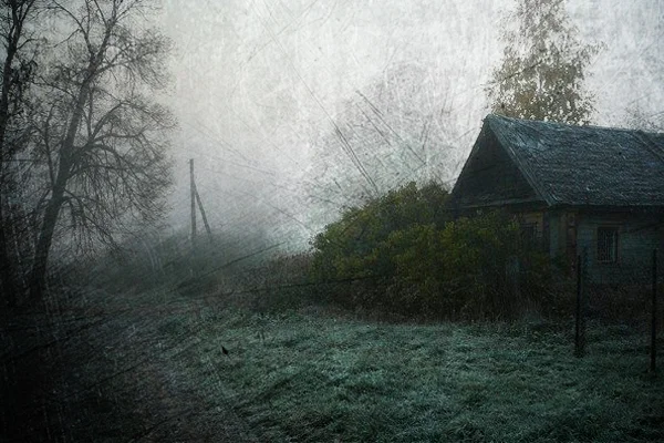 Фото из открытых источников.