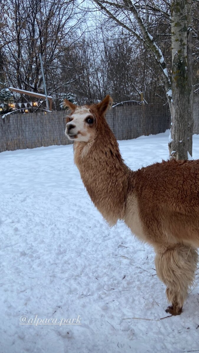 Че ты уставился? 