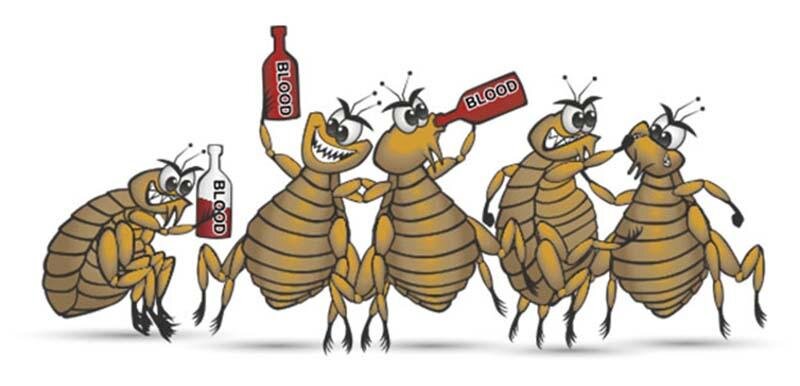 Виновники всего произошедшего