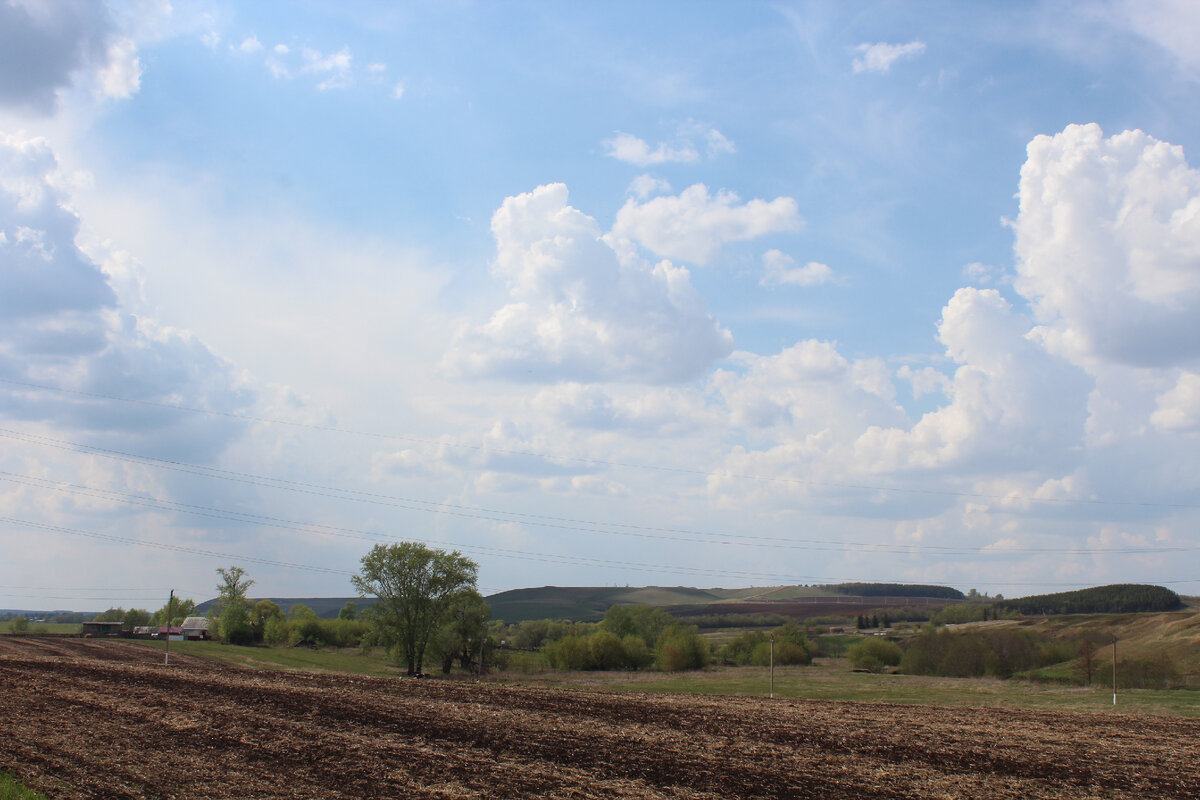 Окрестности деревни Анаково. Сармановский район РТ. Фото: Л.Габдрафикова.