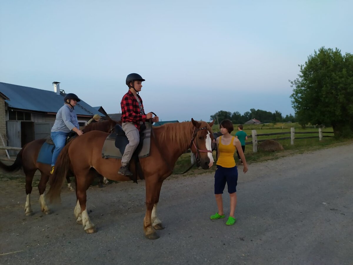 Гоша. Самый спокойный конь на турбазе "Утро в деревне"