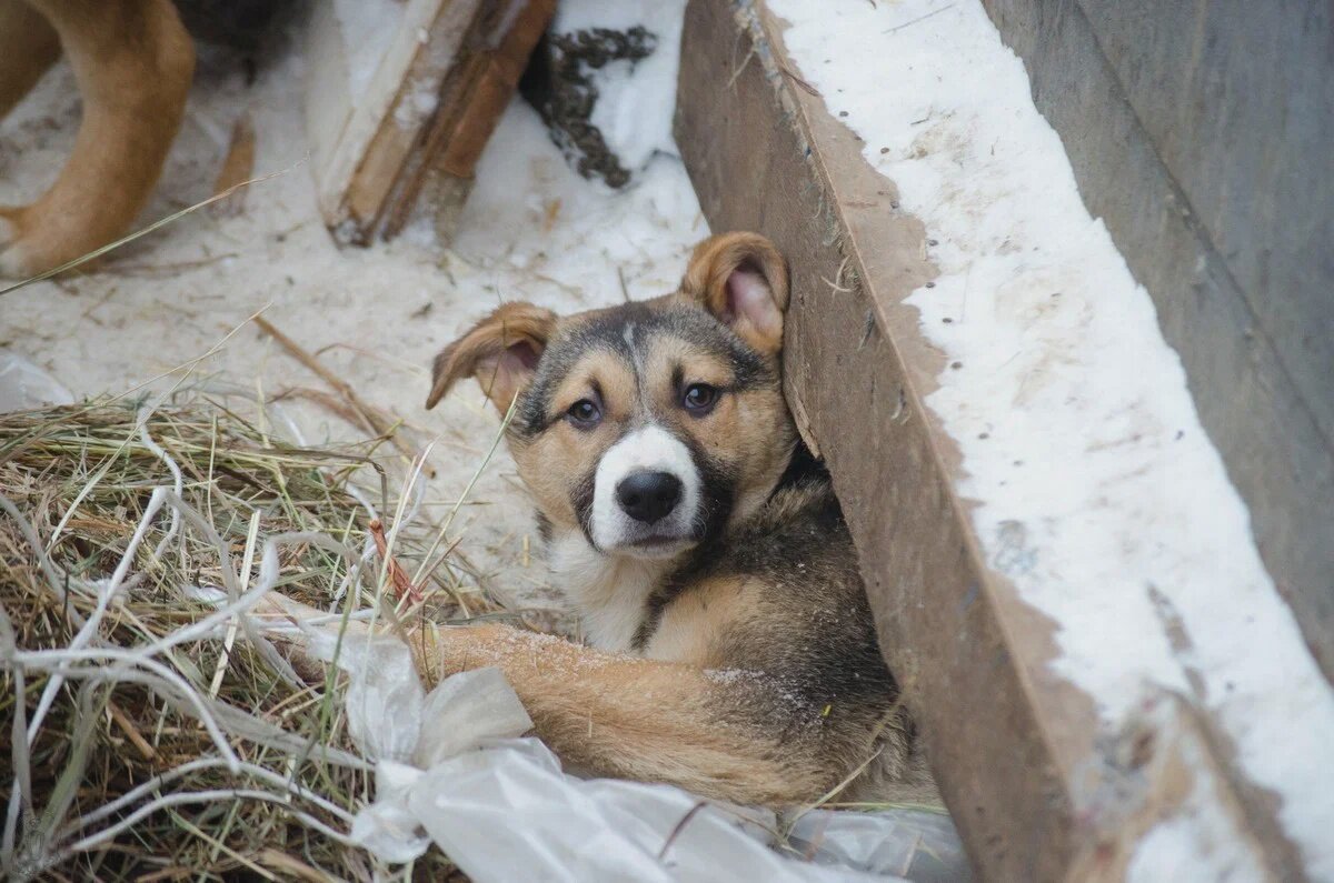Фотография из личного архива