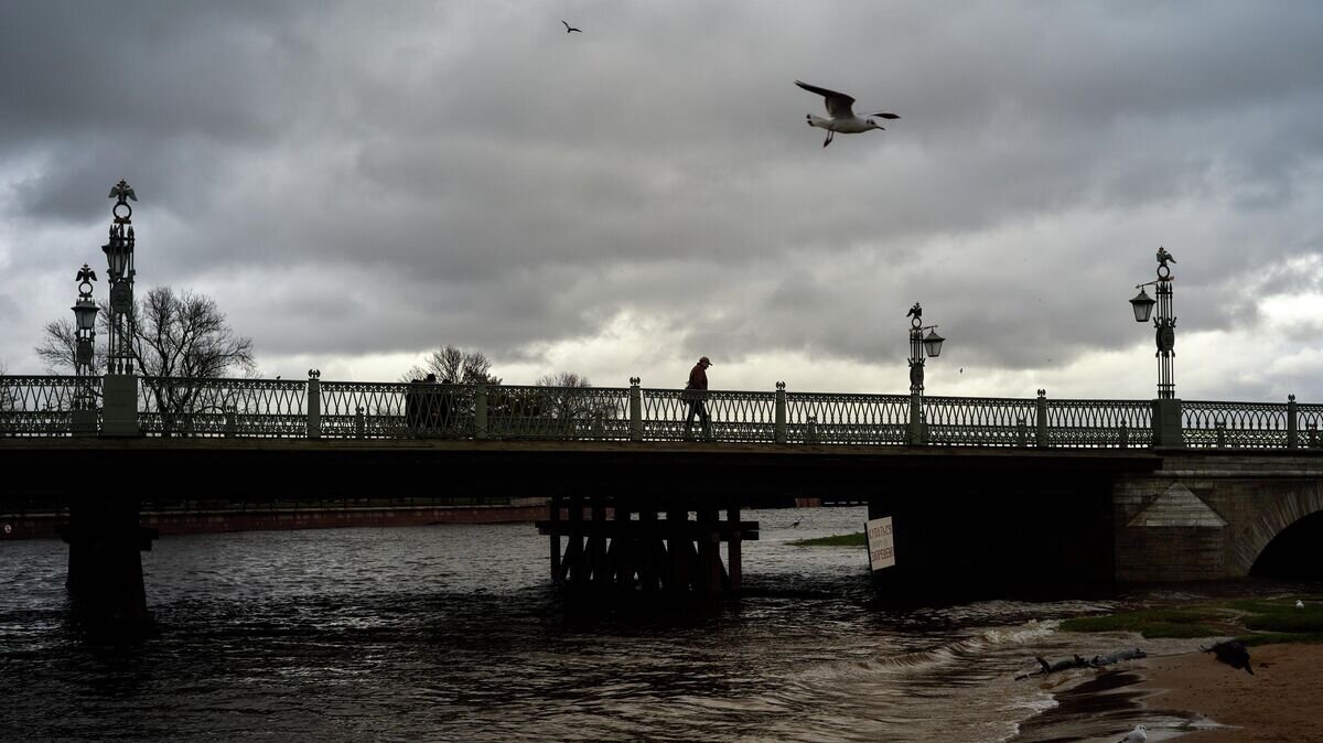    Штормовое предупреждение в Санкт-Петербурге© РИА Новости / Алексей Даничев