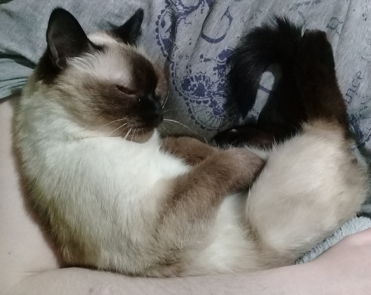 Кто-то в спячке