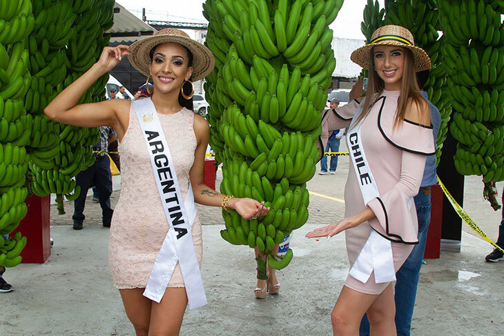 Эквадор экспорт бананов в россию. Сбор бананов в Эквадоре. Бананы из Эквадора. Эквадор местные жители. Банановый Магнат.