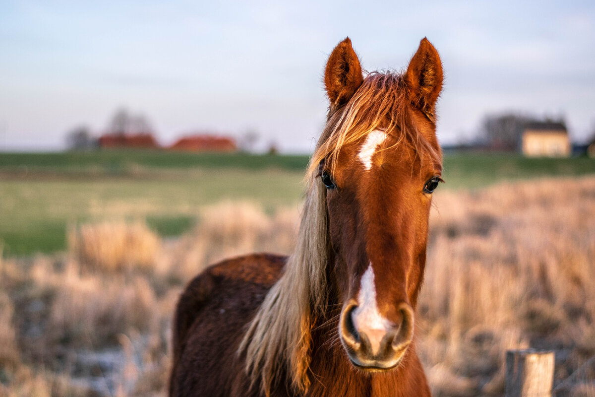 Фото: Peter Beukema / © unsplash.com 