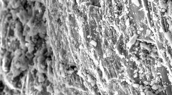   Kevin Smith and Guðmundur Ólafsson / Journal of Archaeological Science: Reports, 2022