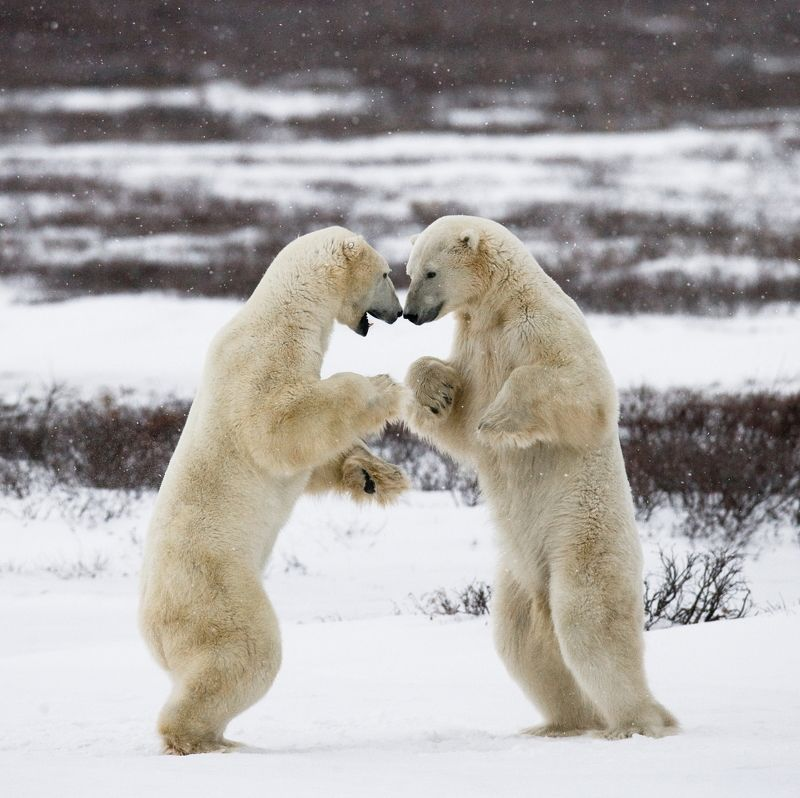 ����� ������� � ��������� ������ �������.