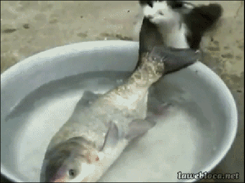 -3