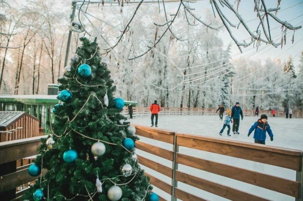    Все в сад! Нижегородцам предлагает встретить Новый год в парках и скверах