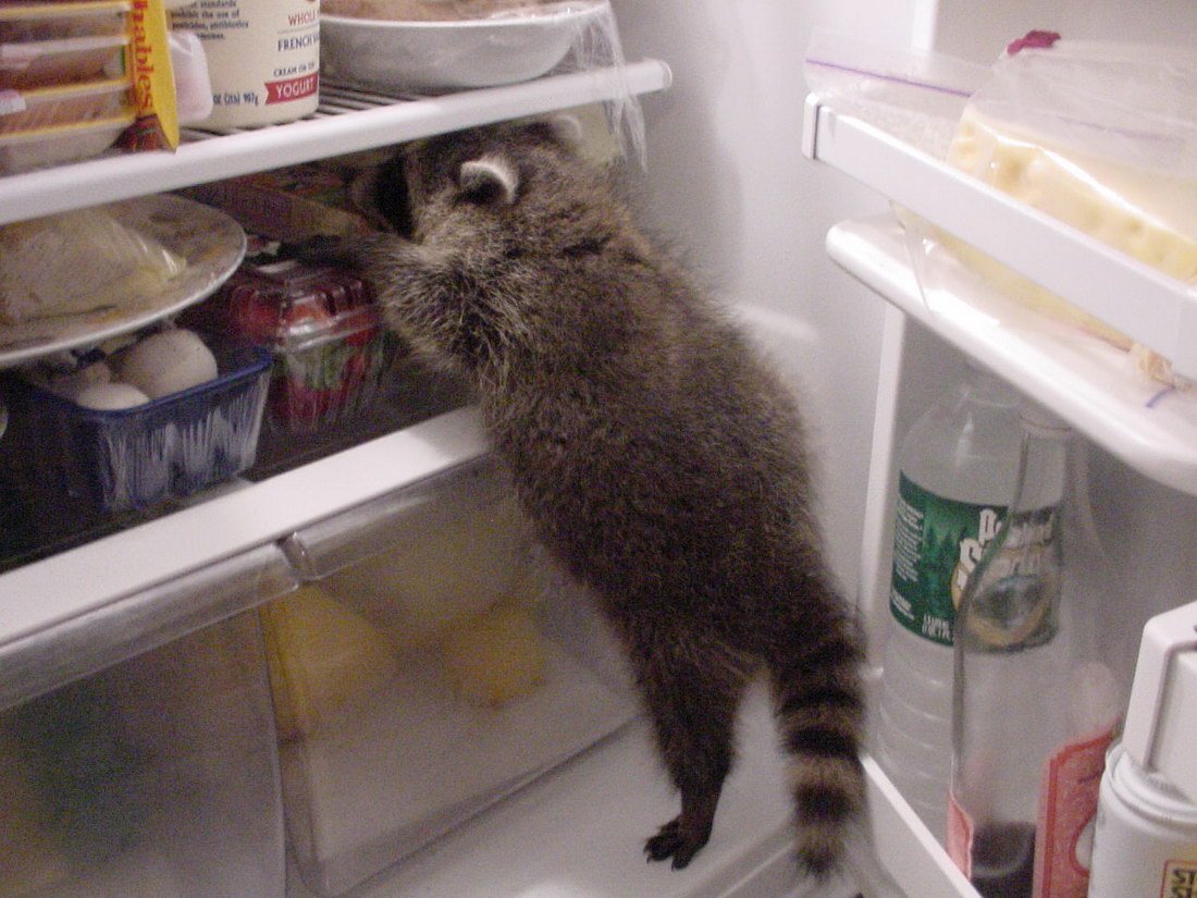 Чисто я вчера.