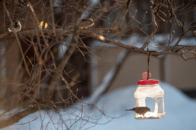    Зима в Московском регионе ©Мария Шуревская РИАМО
