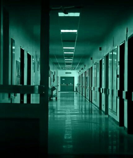 Изображение из интернета. 