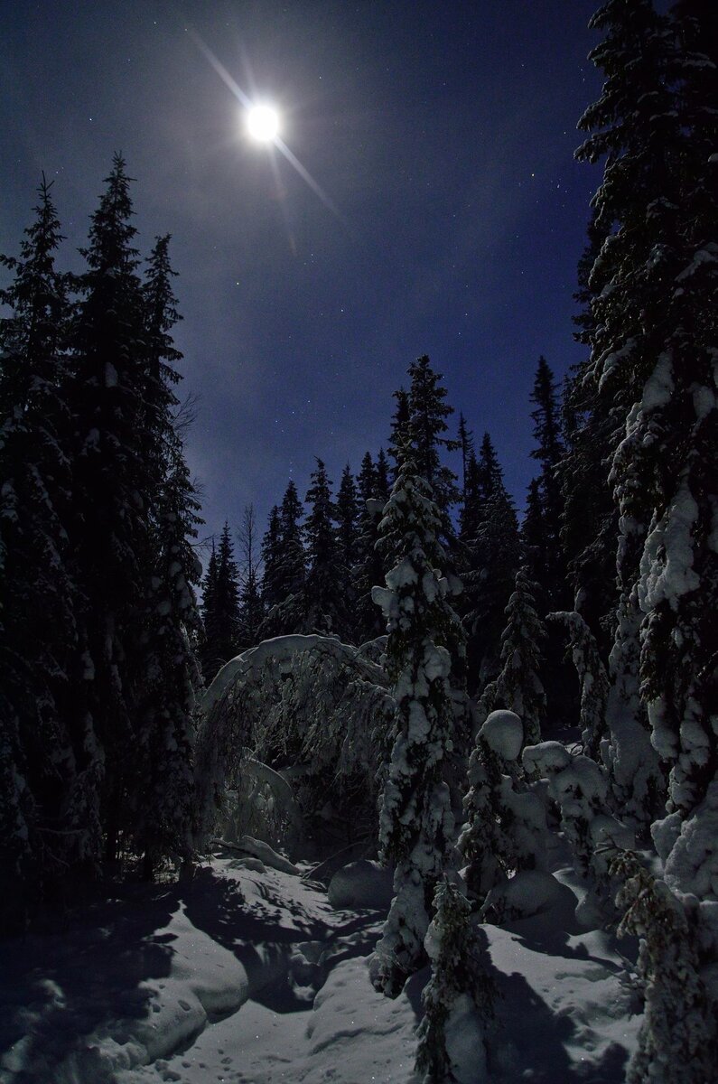 фото из интернета