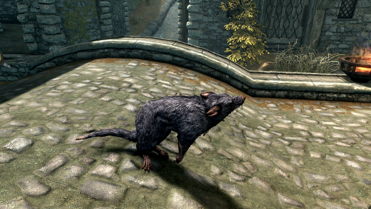 Скритч выглядит как обычный злокрыс