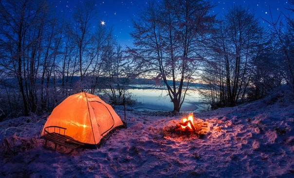 Яндекс.Картинки