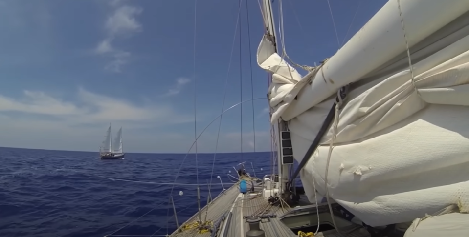 Всё получилось внезапно... встреча состоялась.  фото: картинки  яндекса. 