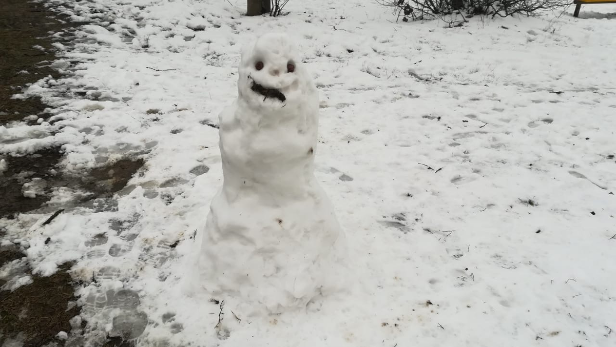 Погода шалит)))