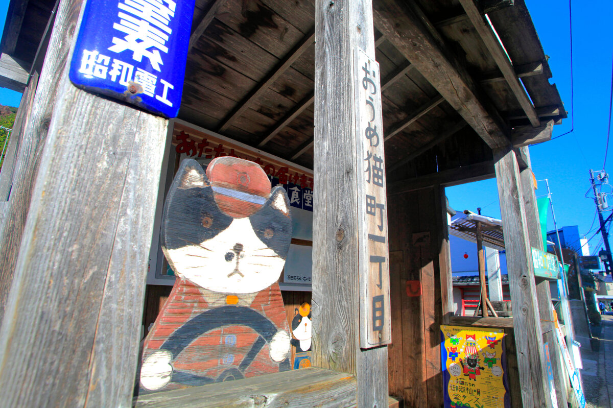     Бездомная кошка спасла старую железную дорогу от закрытия, а людей от увольнения