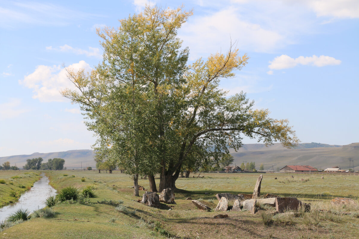 Абаканская степь Хакасия