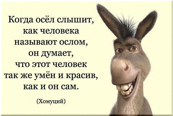 Замечательное животное)