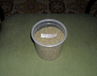 Семена петрушки